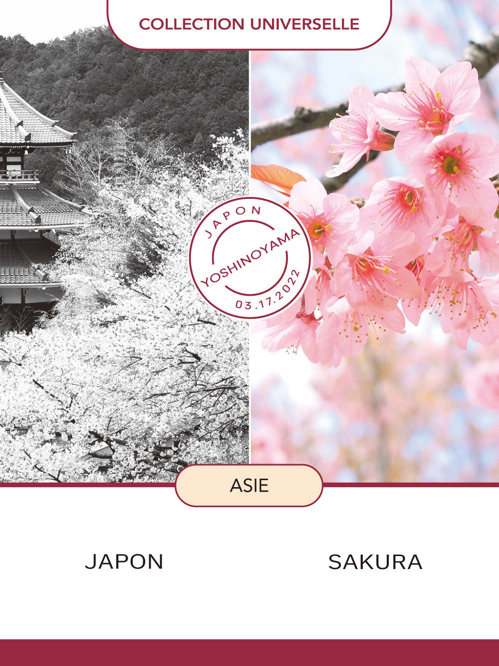 サクラ ディフューザー 100ml