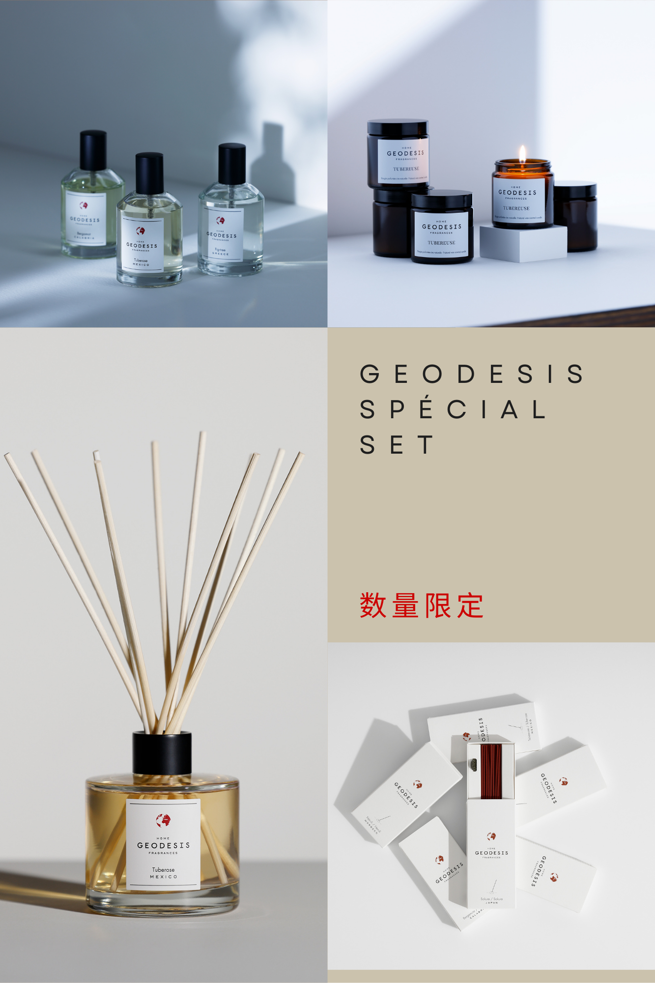 【数量限定】GEODESIS特別セット
